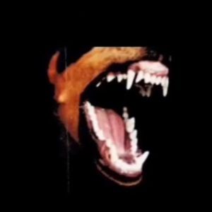 Meet your Posher, Abdoul